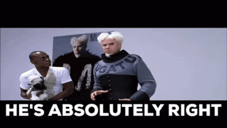 He's Absolutely Right Mugatu GIF