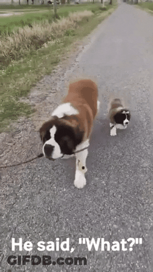 He Said Happy Sisters Day GIF