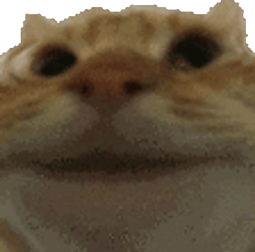 Head Nod Cat Face Smile GIF
