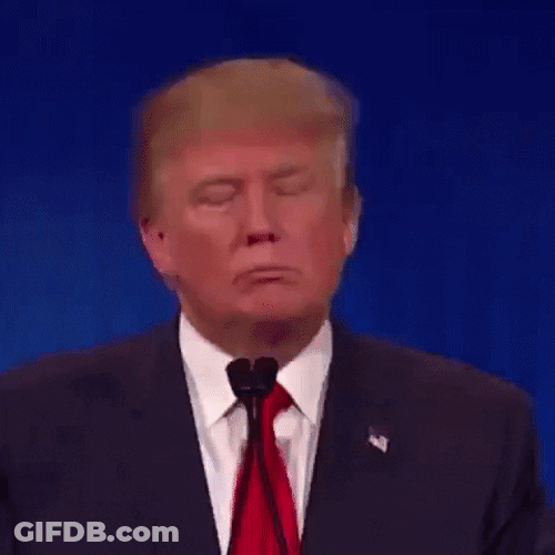 Head Nod Donald Trump Zoomed Face GIF