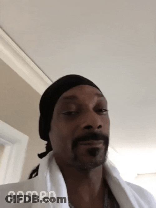 Head Nod Snoop Dog Alright GIF