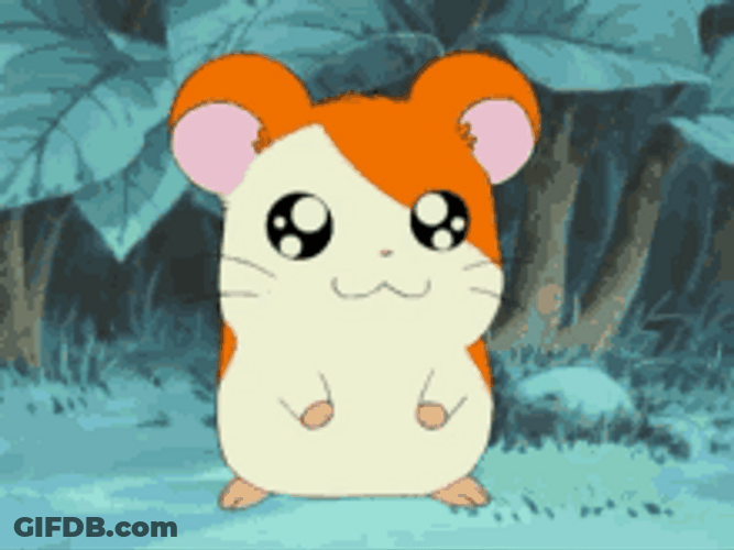 Head Scratch Paw Cute Hamtaro Shy GIF