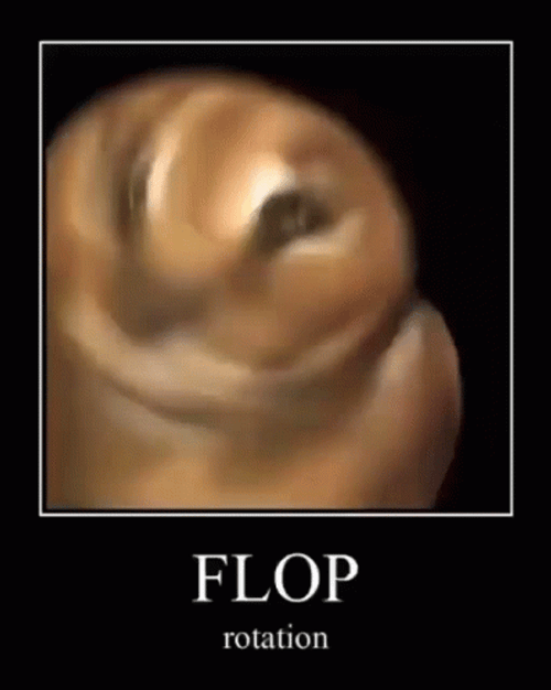 Head Shake Flop GIF