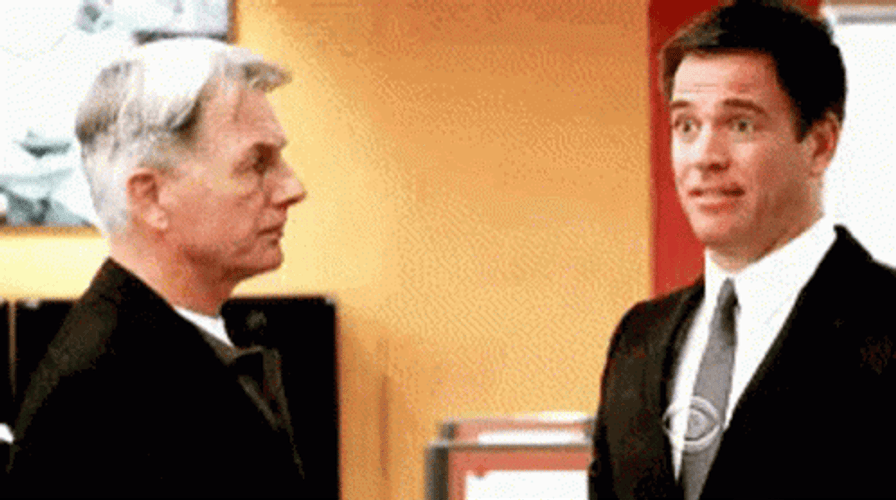 Head Slap Leroy Jethro Gibbs Ncis Series GIF