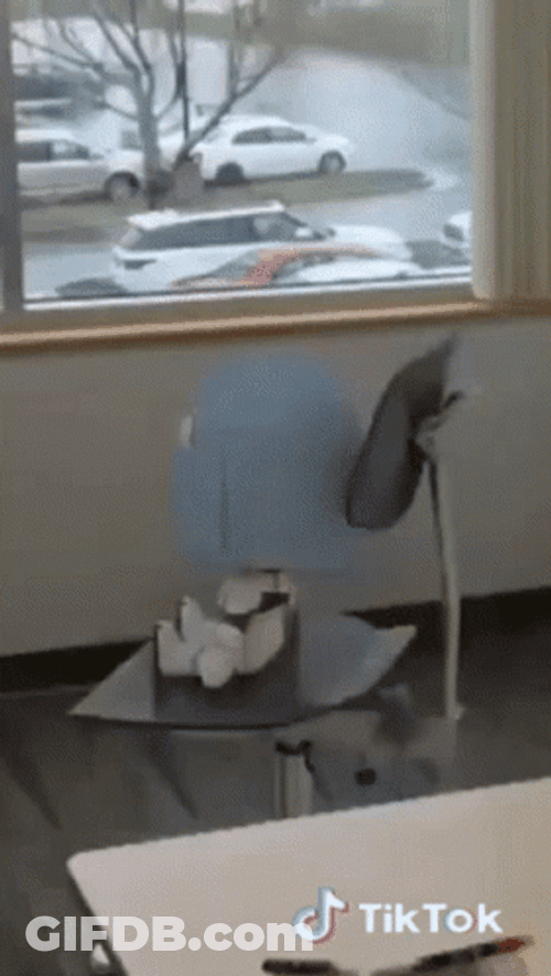 Head Spinning GIF