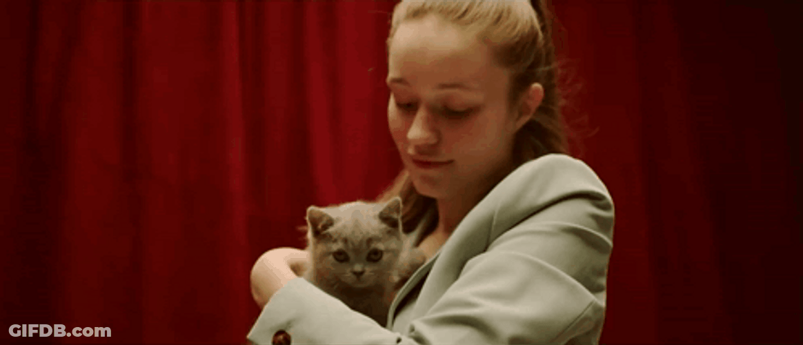 Head Stroke Sigrid Sing To Kitten GIF