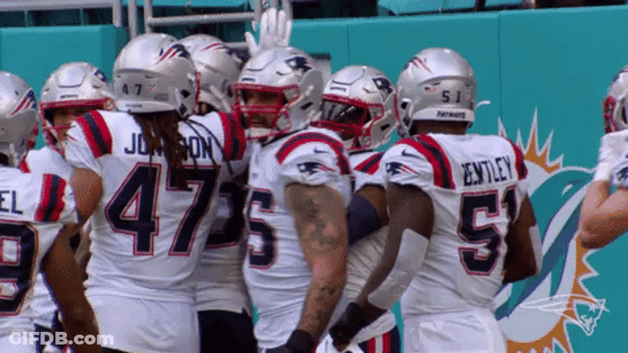 Head Tap New England Patriots GIF