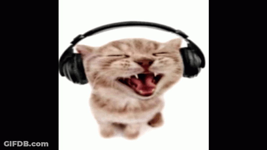Headphones Kitten Smile GIF