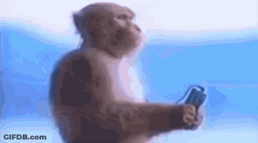 Headphones Monkey Listening Music GIF