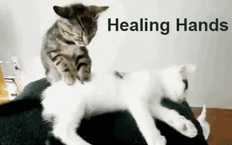 Healing Hands GIF