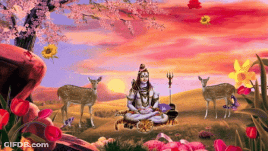 Healing Vibes Deity Shiva Meditating GIF