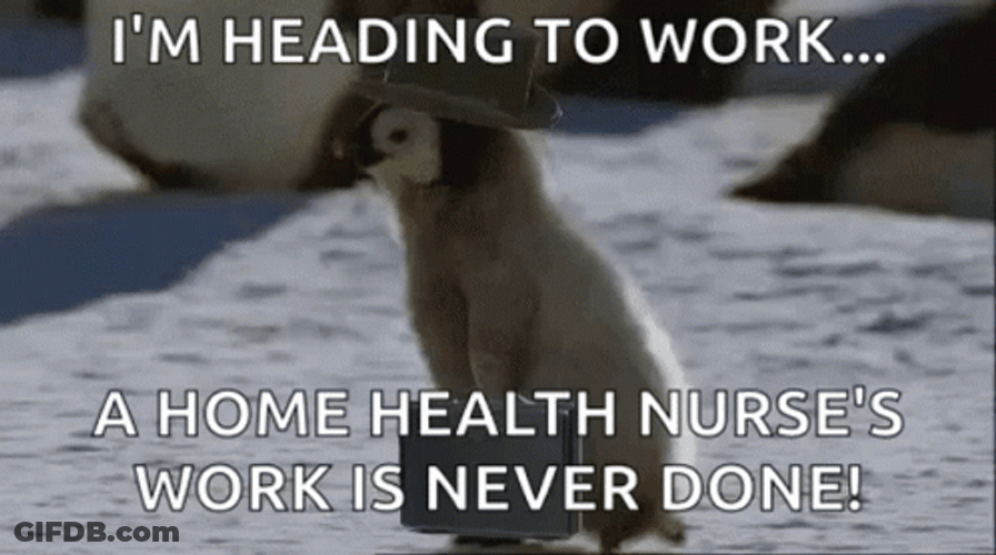 Health Nurse's Working On Sunday GIF