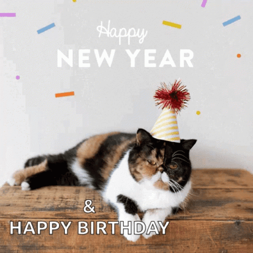 Healthy Cat Happy New Year Animated GIF