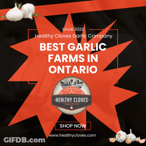 Healthy Cloves Garlic Company Best Garlic Farms In Ontario GIF