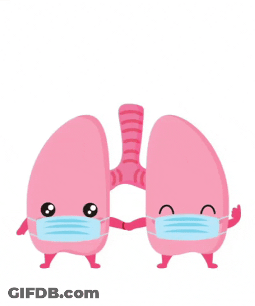 Healthy Lungs Wearing Mask Animated GIF