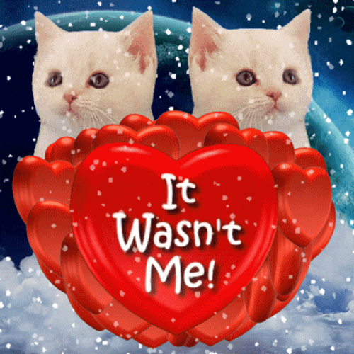 Heart Cat It Wasn't Me GIF