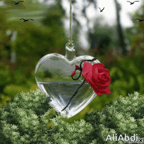 Heart GIF