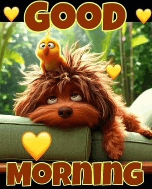 Heart Love You Meme GIF