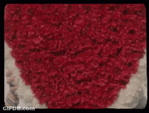 Heart Made Of Red Flowers GIF