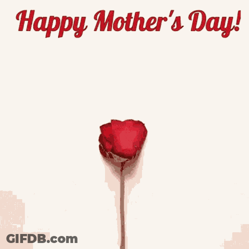 Heart Made Of Rose Petals Happy Mother's Day GIF