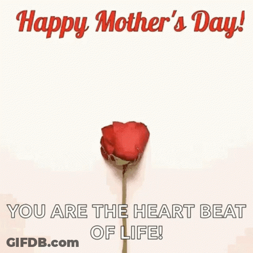 Heart Made Of Rose Petals Happy Mothers Day GIF