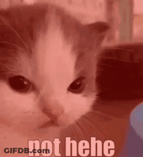 Heart Melting Kitten Hehehe GIF