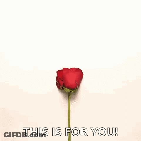 Heart Of Red Rose Petals Saying This Is For You GIF