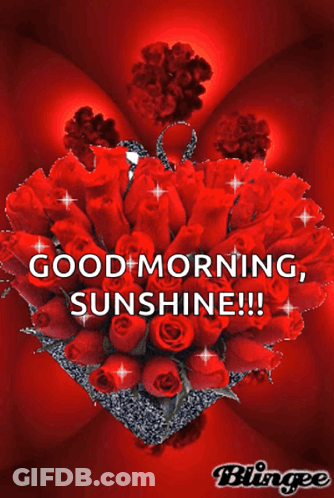 Heart Shaped Bouquet Red Roses Good Morning Sunshine GIF