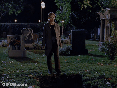 Heart Shaped Gravestone In Cemetery GIF