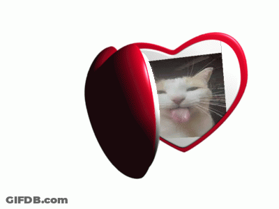 Heart Shaped Mirror With Cat Sticking Out Tongue GIF