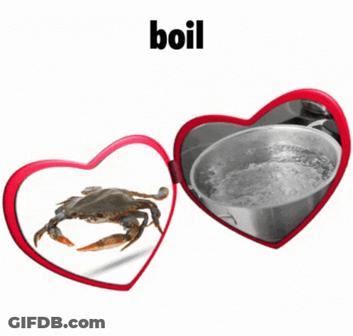 Heart Shaped Mirror With Crab Saying Boil GIF