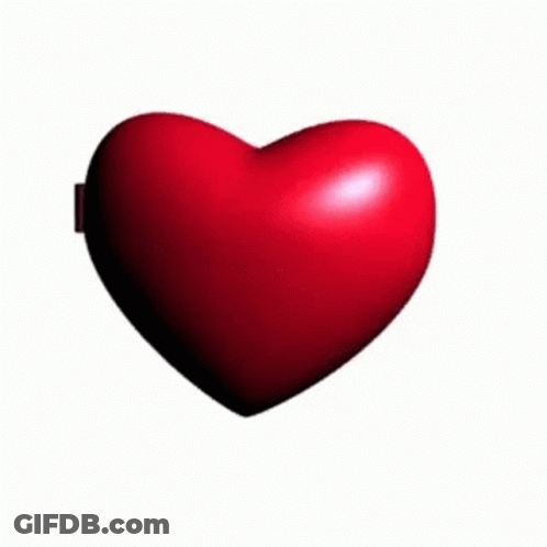 Heart Shaped Mirror With Frog GIF