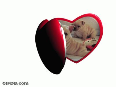 Heart Shaped Picture Frame With Two Puppies GIF