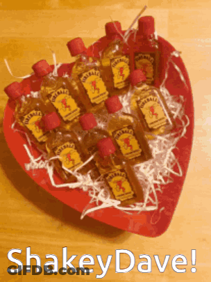 Heart Shaped Tray Filled With Jim Beam Bottles GIF