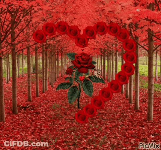 Heart Tunnel GIF