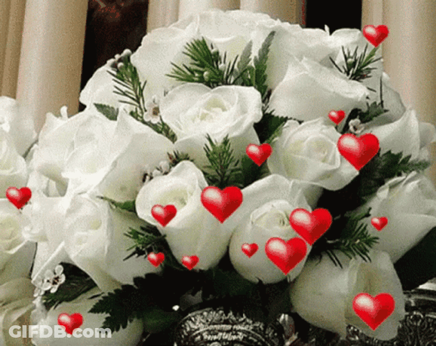 Heartwarming Beautiful Roses Bouquet GIF