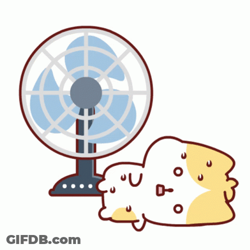 Heat Electric Fan And Cute Cat GIF