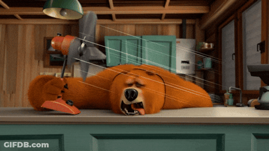 Heat Wave Exhausted Bear Passed Out GIF