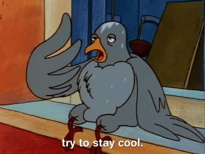 Heat Wave Exhausted Bird Sweating GIF