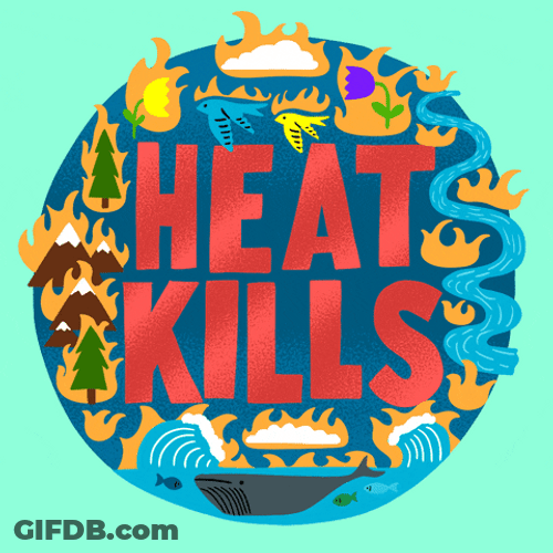 Heat Wave Premium Vector Art GIF