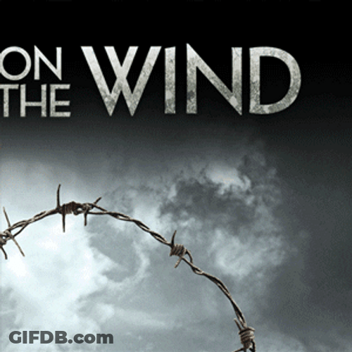 Heather Graham The Wind GIF