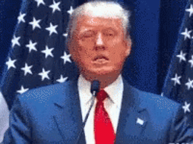 Heavy Breathing Angry Donald Trump GIF