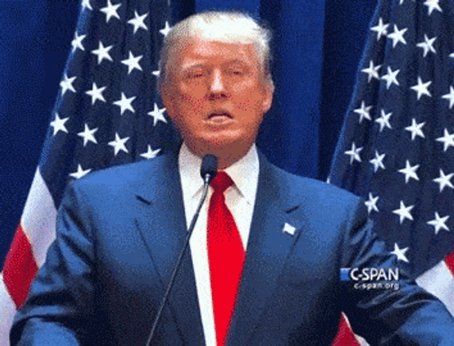Heavy Breathing Donald Trump Angry Mad GIF