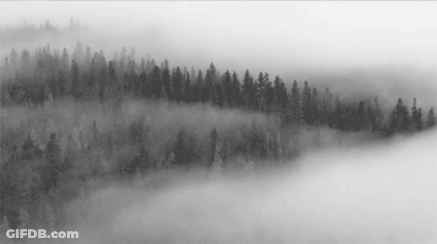 Heavy Fog On The Mountains GIF