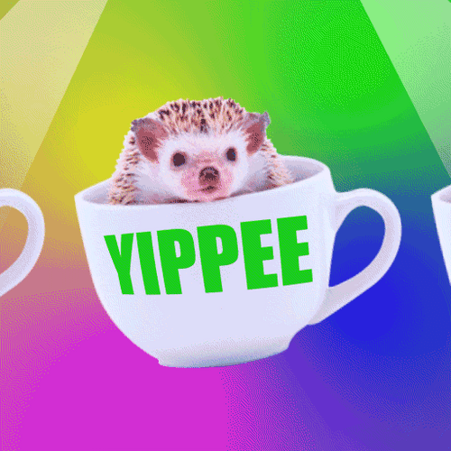 Hedge Hog Coffee Yippee Meme GIF