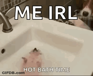Hedgehog Bathing In Sink Me Irl Hot Bath Time GIF