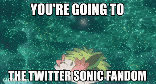 Hedgehog Cartoon You're Going To The Twitter Sonic Fandom GIF