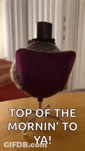 Hedgehog In Top Hat Sitting In Chair GIF