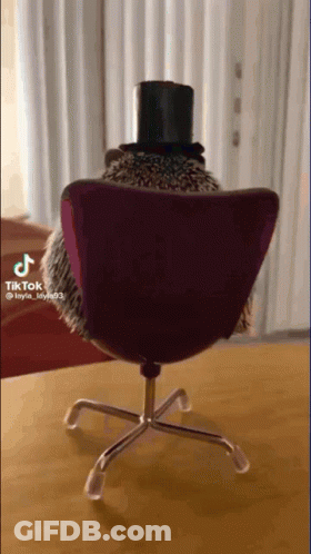 Hedgehog In Top Hat Sitting In Purple Chair GIF