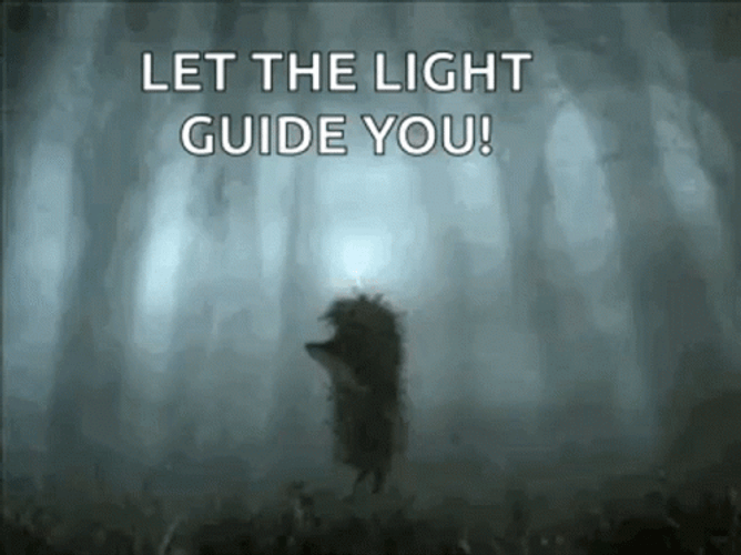 Hedgehog Let The Light Guide You In The Fog GIF